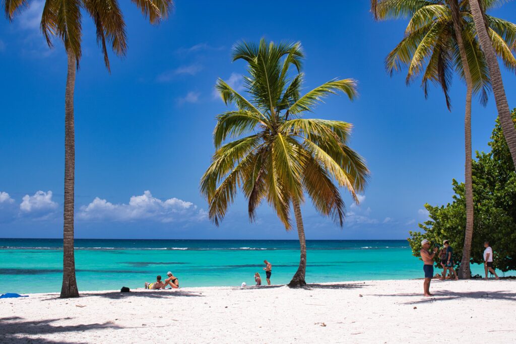 A serene tropical beach scene with palm trees, azure waters, and people relaxing under the sun.