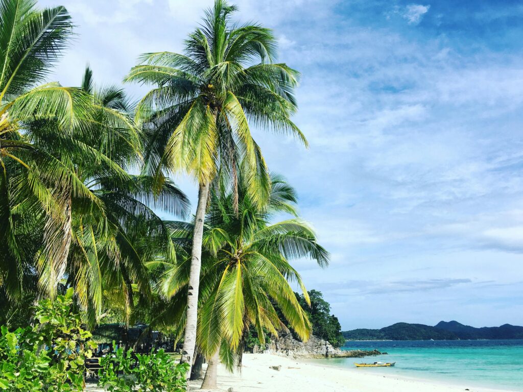 A serene tropical beach in Culion, Philippines, featuring lush palm trees and clear blue skies.