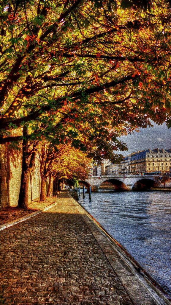 paris, seine, promenade, paris, paris, paris, paris, paris