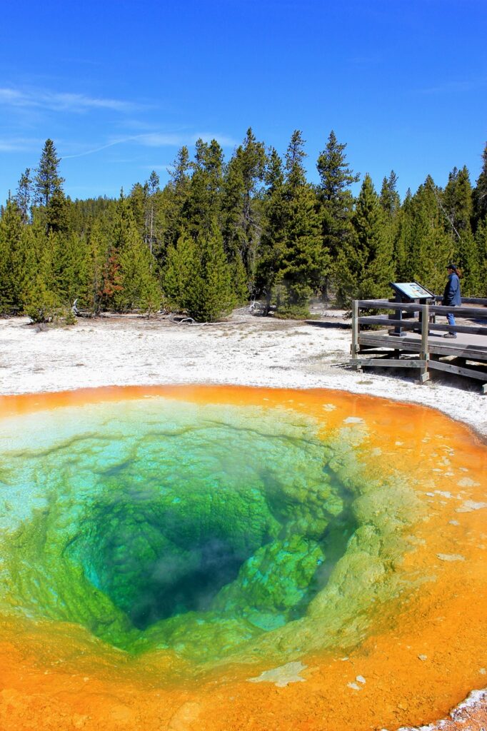 morning glory, yellowstone, geothermal, geology, pool, morning glory, yellowstone, yellowstone, yellowstone, yellowstone, yellowstone
