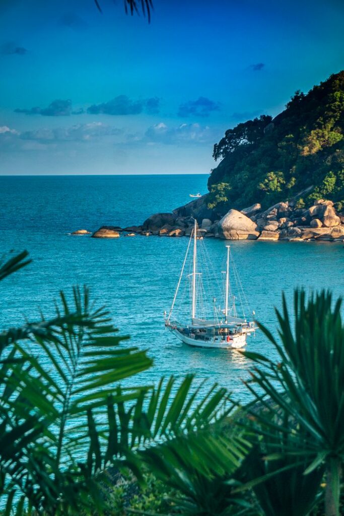 Beautiful sailboat near Koh Samui's lush coastline framed by palm leaves, capturing a tropical paradise.