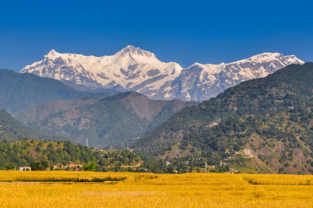 Breathtaking view of the snow-capped Annapurna mountain range overlooking golden fields in Pokhara, Nepal.