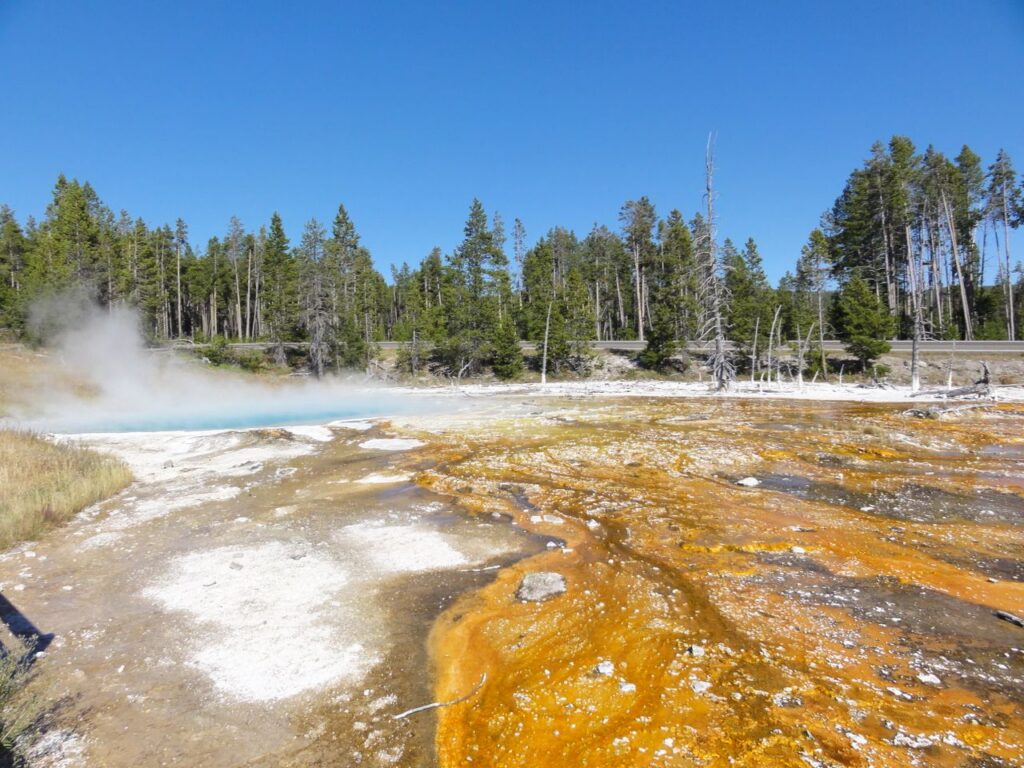 Colorful geothermal spring with steam in Yellowstone National Park under a clear blue sky.