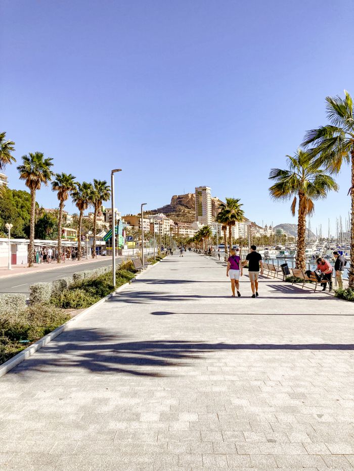 Sunny day on Alicante promenade showcasing the Castillo de Santa Bárbara and palm trees.