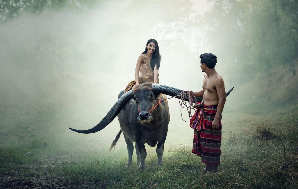 asia, buffalo, cambodia, cambodians, girl, riding, happy, indonesian, malaysia, myanmar, burma, nature, outdoor, people, countryside, thailand, vietnamese, woman, man, asia, buffalo, buffalo, buffalo, buffalo, buffalo, cambodia, cambodia, happy, malaysia, malaysia, malaysia, malaysia, people, people, people, people, thailand, thailand, thailand, thailand, man, man, man
