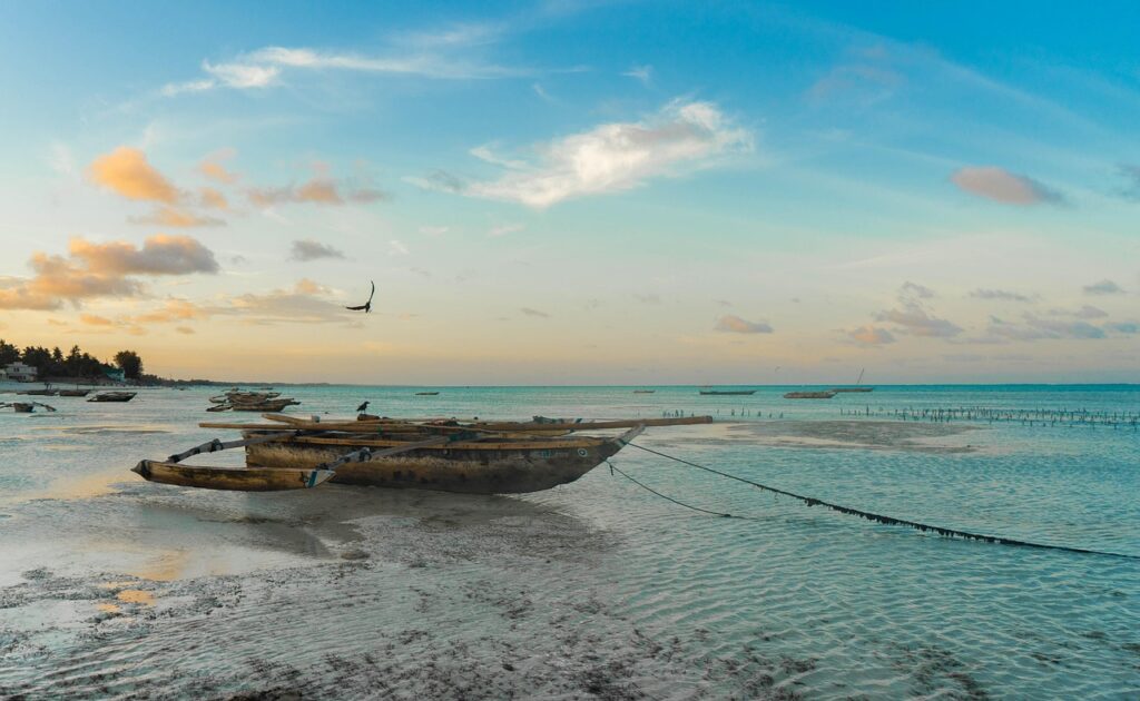 africa, zanzibar, beach, tanzania, island, exotic, water, sun, nature, sand, ocean, summer, tropical, sea, africa, africa, zanzibar, zanzibar, zanzibar, zanzibar, zanzibar, tanzania, tanzania